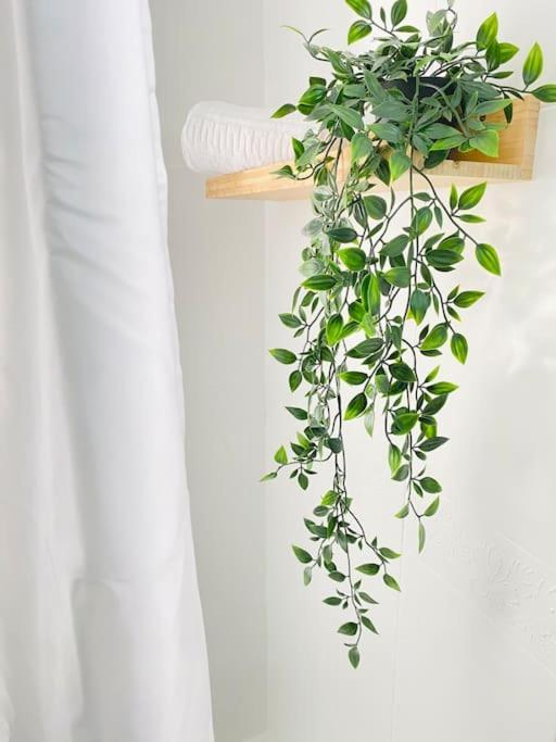 Marisma Home Chiclana de la Frontera Ngoại thất bức ảnh
